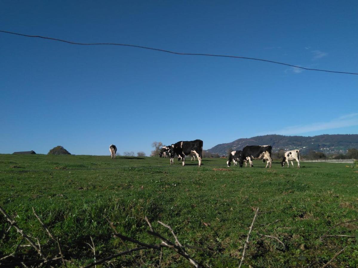 Casa Pepin - Sagasta Rural Oviedo Konuk evi Dış mekan fotoğraf