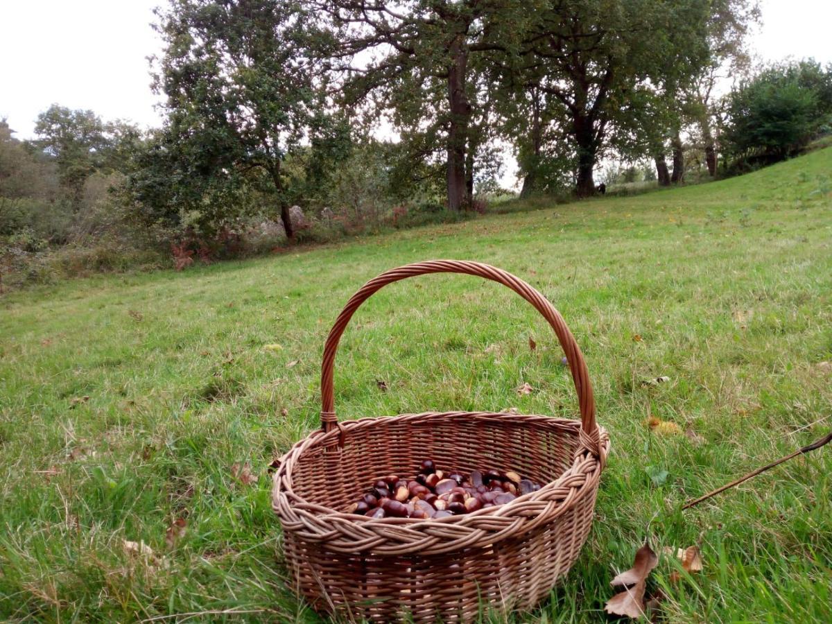 Casa Pepin - Sagasta Rural Oviedo Konuk evi Dış mekan fotoğraf