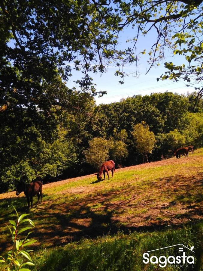 Casa Pepin - Sagasta Rural Oviedo Konuk evi Dış mekan fotoğraf